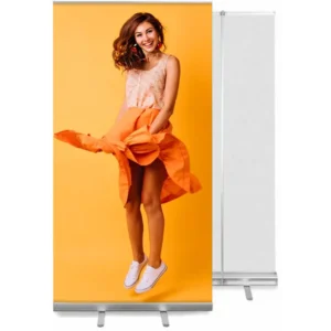 Roll-up Flexim 100x200